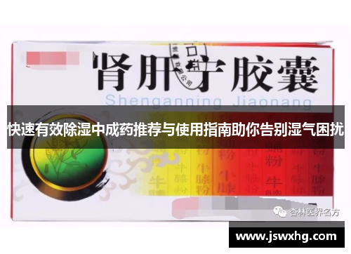 快速有效除湿中成药推荐与使用指南助你告别湿气困扰